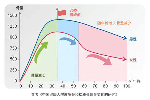 骨質(zhì)變化表